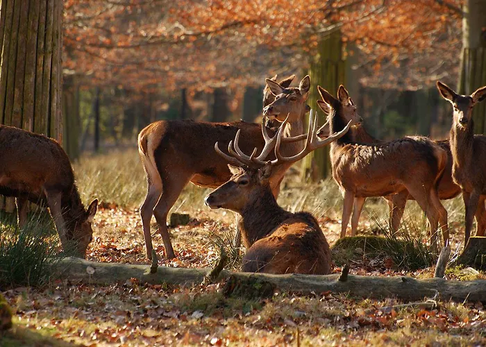 St George & Szálloda